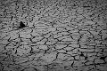 2015_10_18 (0072)